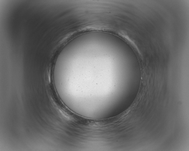 X0000070250062200606021009