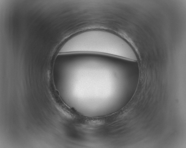 X0000070250063200606021009