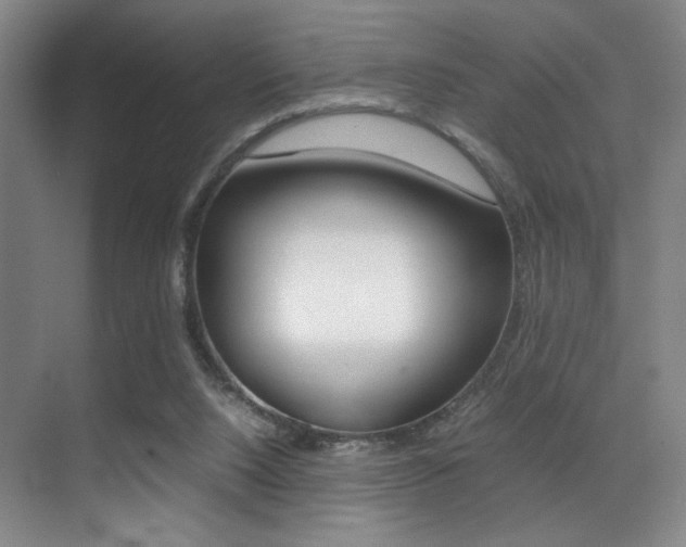 X0000070250064200606021009