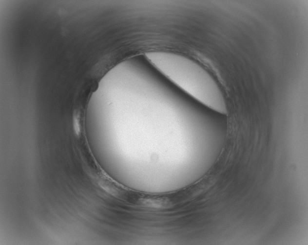 X0000070250069200606021009