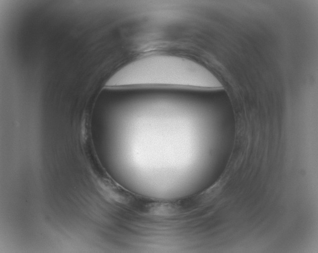 X0000070250074200606021009