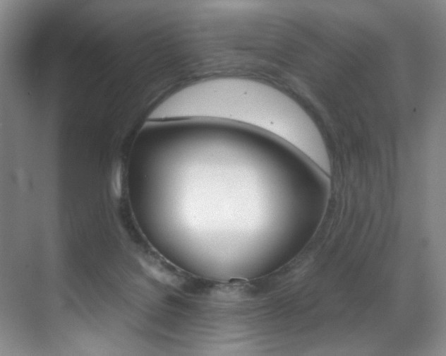 X0000070250076200606021009