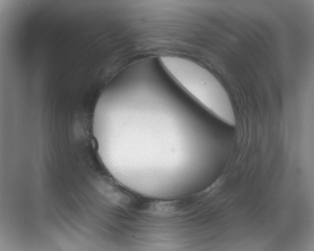 X0000070250078200606021009