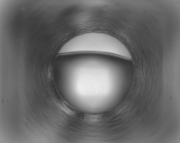 X0000070250081200606021009