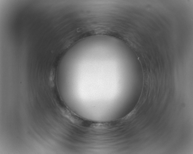 X0000070250082200606021009