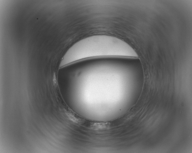 X0000070250089200606021010