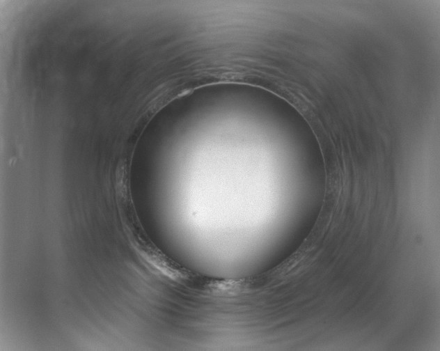 X0000070250092200606021010