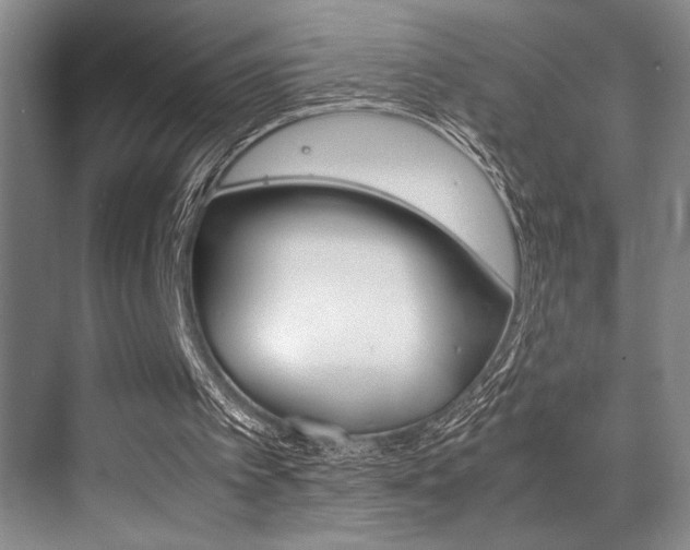 X0000070250097200606021009