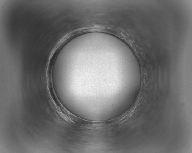 X0000070250102200606021009