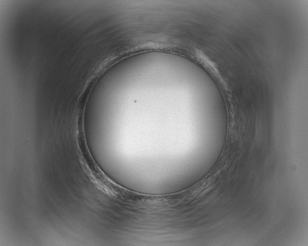 X0000070250106200606021009