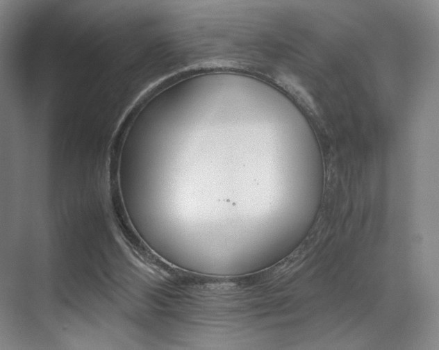 X0000070250108200606021009