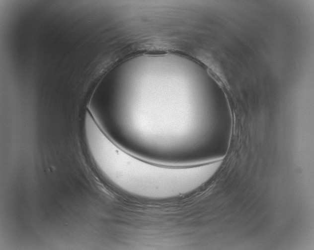 X0000070250109200606021009