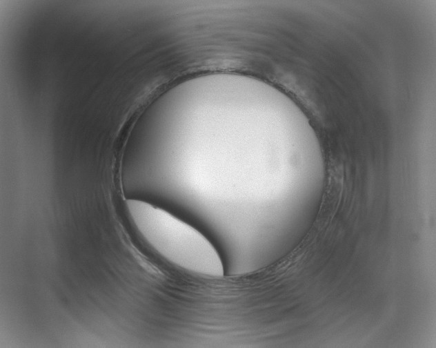 X0000070250110200606021009
