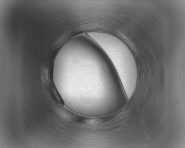 X0000070250117200606021009