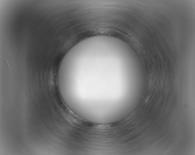 X0000070250126200606021008