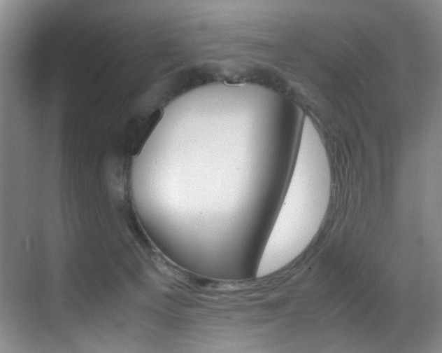 X0000070250129200606021008