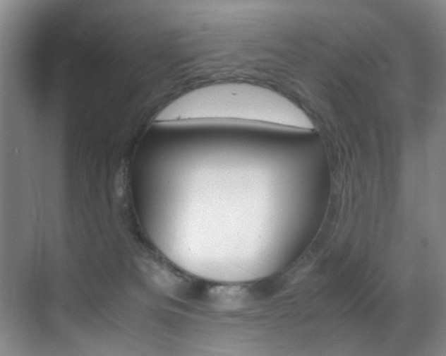 X0000070250133200606021008