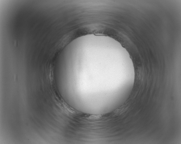 X0000070250138200606021008