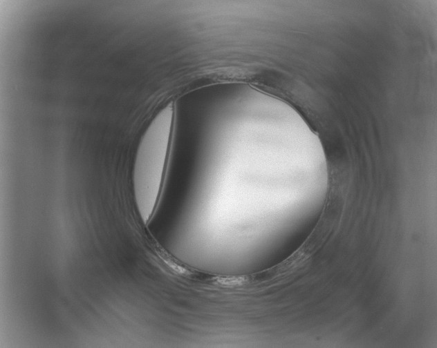 X0000070250143200606021008