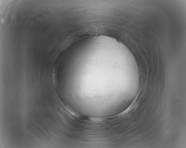 X0000070250144200606021008