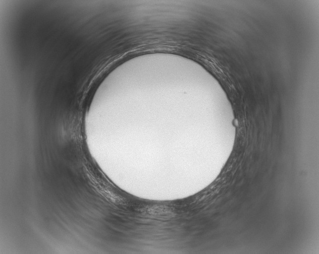 X0000070250146200606021007