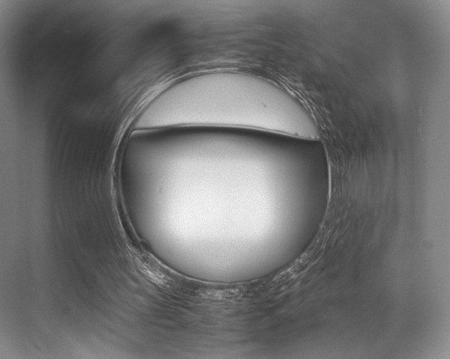 X0000070250147200606021007