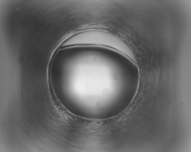 X0000070250148200606021007