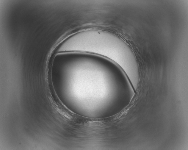 X0000070250150200606021007