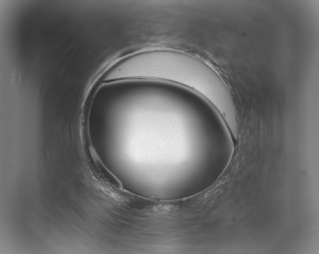 X0000070250152200606021007