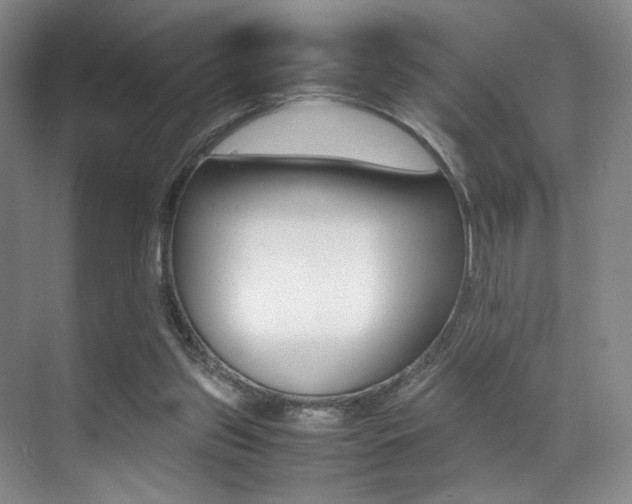X0000070250157200606021007