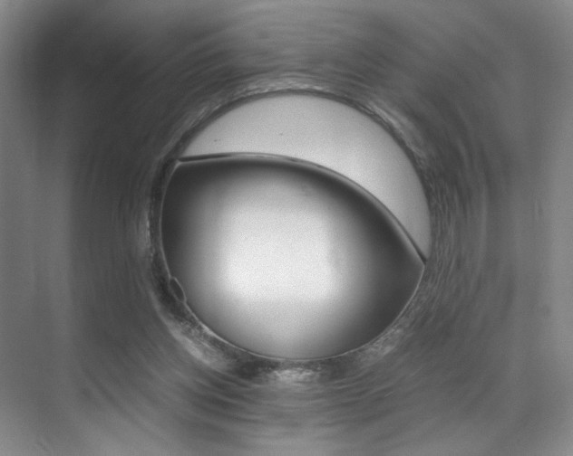X0000070250158200606021008