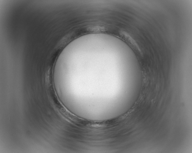 X0000070250163200606021008