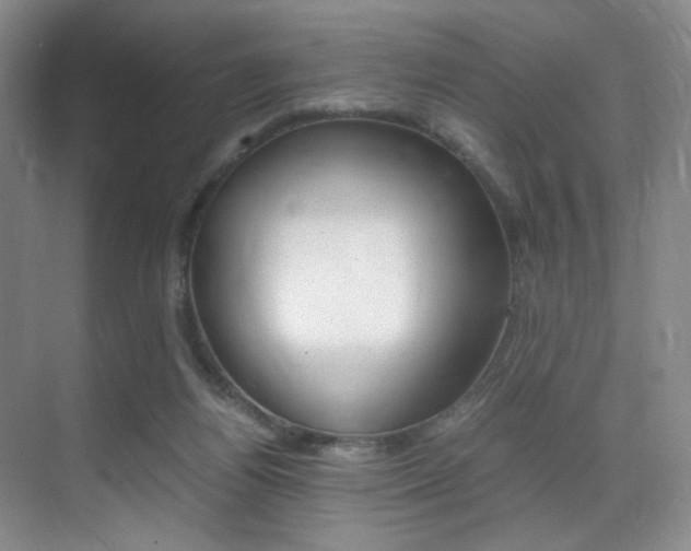 X0000070250164200606021008