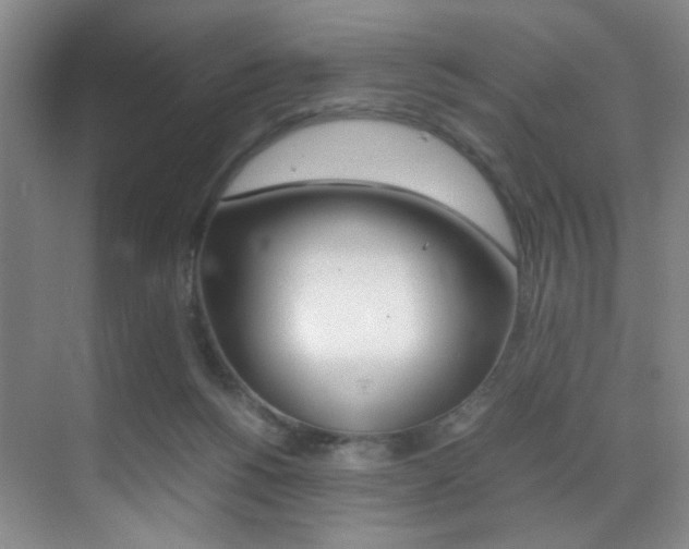 X0000070250168200606021008