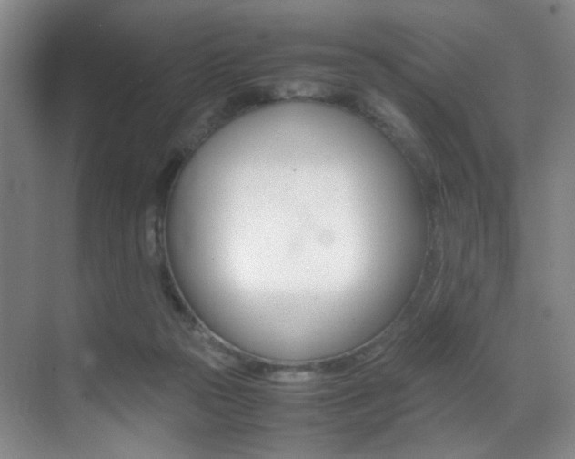 X0000070250169200606021008