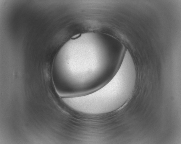 X0000070250170200606021008