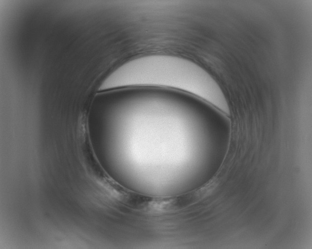 X0000070250172200606021008