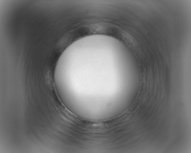 X0000070250173200606021008