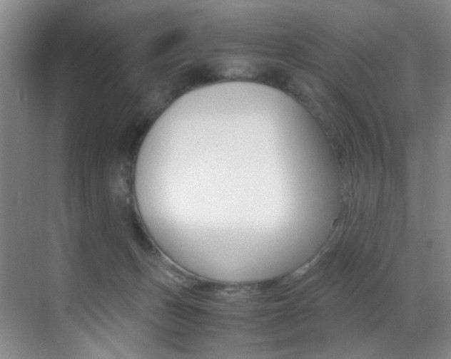 X0000070250175200606021008
