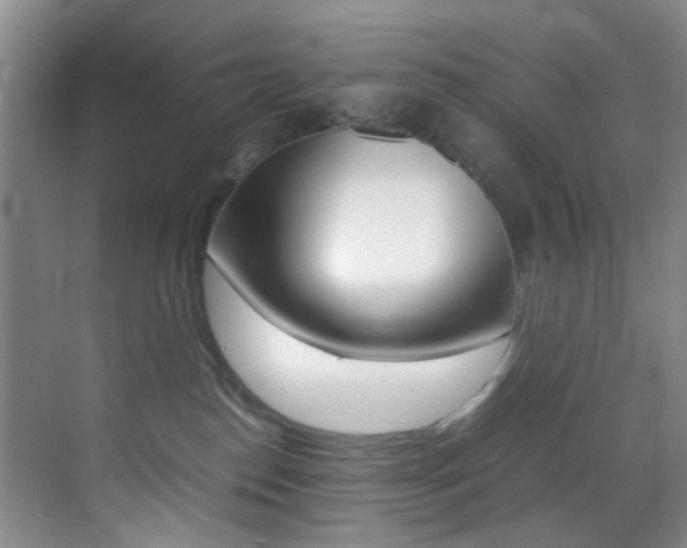 X0000070250186200606021008