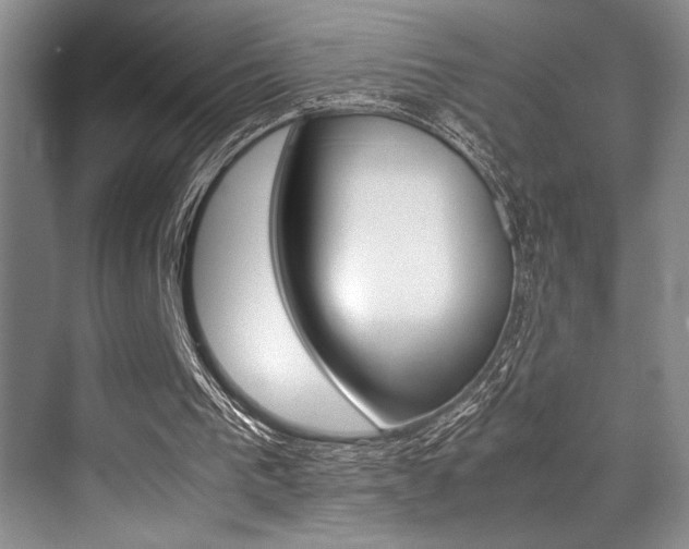 X0000070250193200606021007