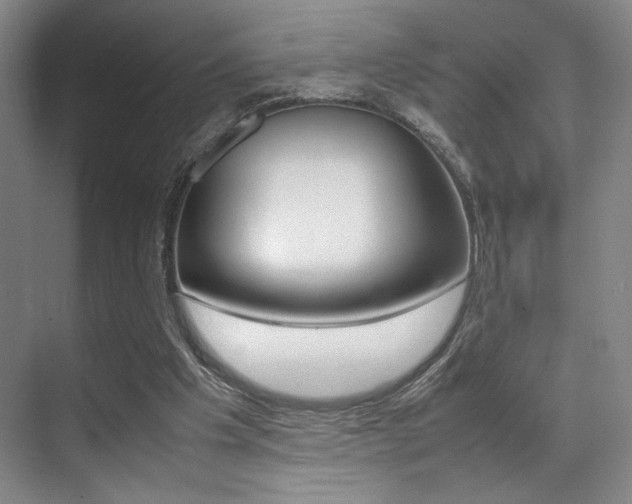 X0000070250201200606021007