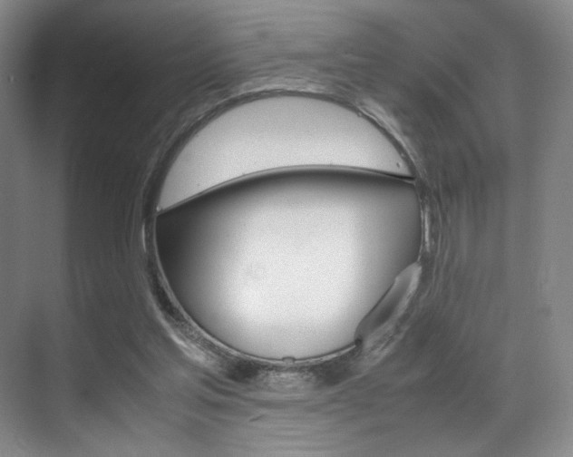 X0000070250205200606021007
