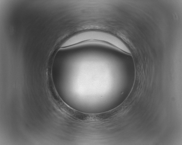 X0000070250207200606021007