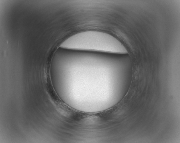 X0000070250210200606021007