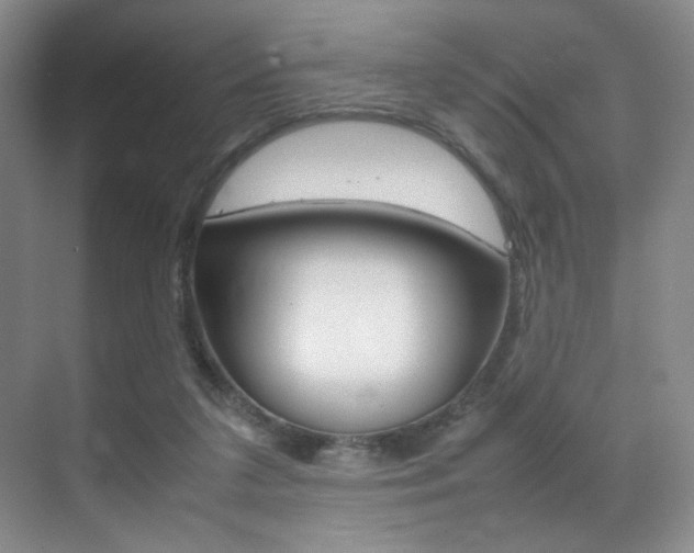X0000070250211200606021007