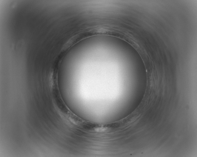 X0000070250216200606021007