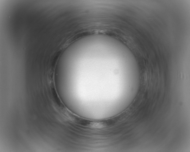 X0000070250218200606021007