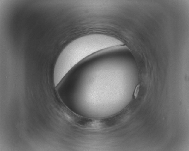 X0000070250219200606021007