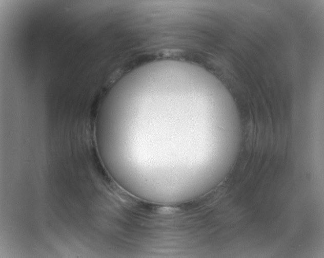 X0000070250222200606021007